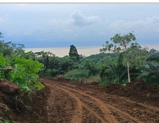 Cheap Titled Plots With Exceptional Value. 500m2, 1000m2, 1 Hectare etc