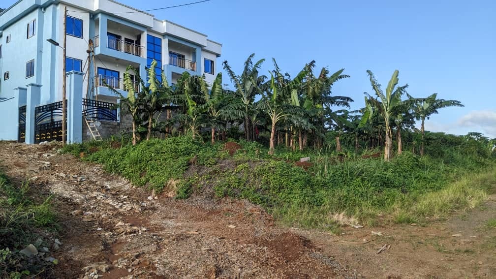 A Charming 500m2 Land Close To Ngeme Stadium Limbe