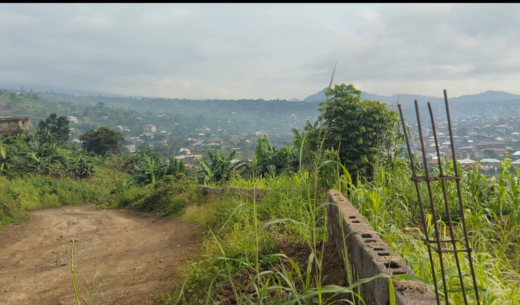 4717m2 Land Well Priced At Lower Bonjonjo