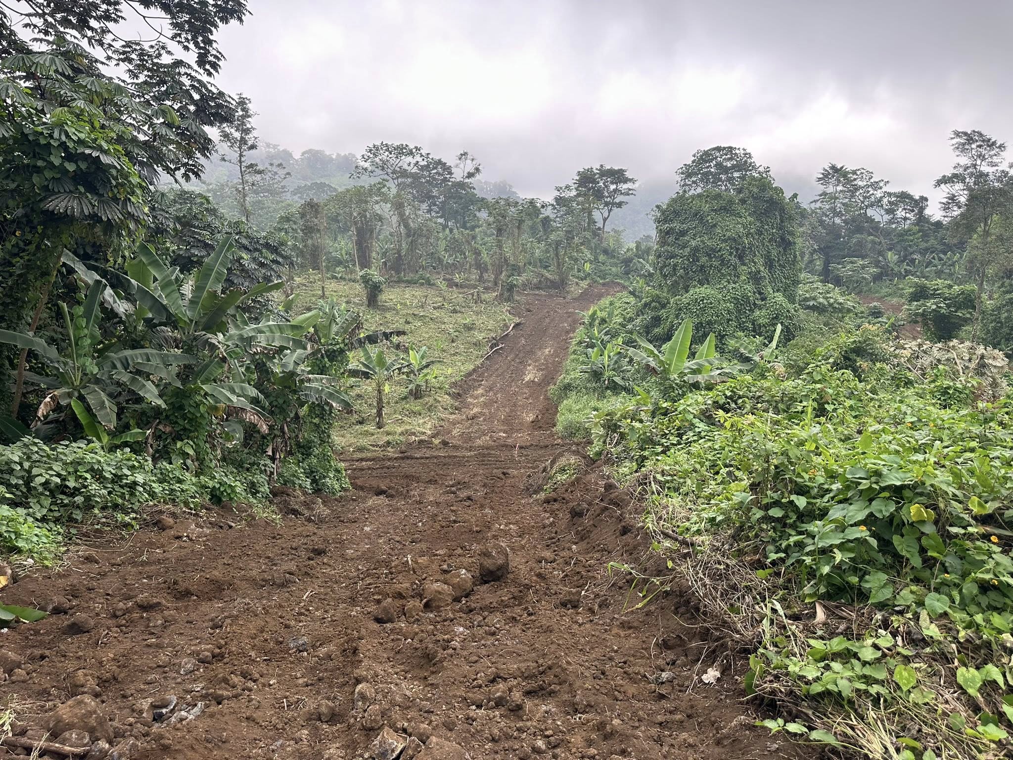 Cheap 500m2 Plots At Mokunda Limbe