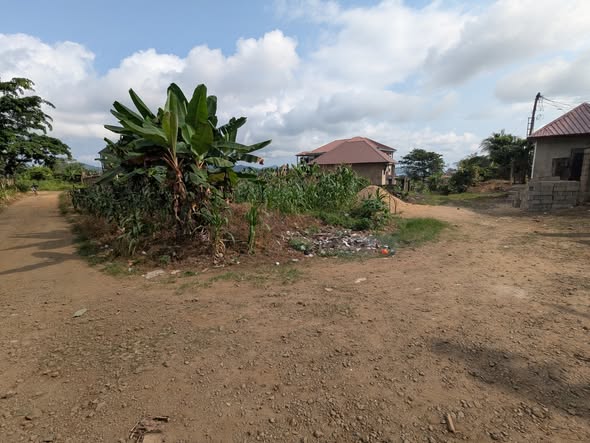 A Privileged 500m2 Behind La Castrol Limbe